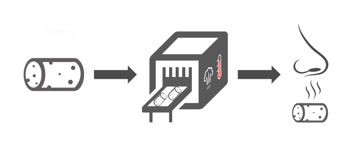 Esquema SaInov