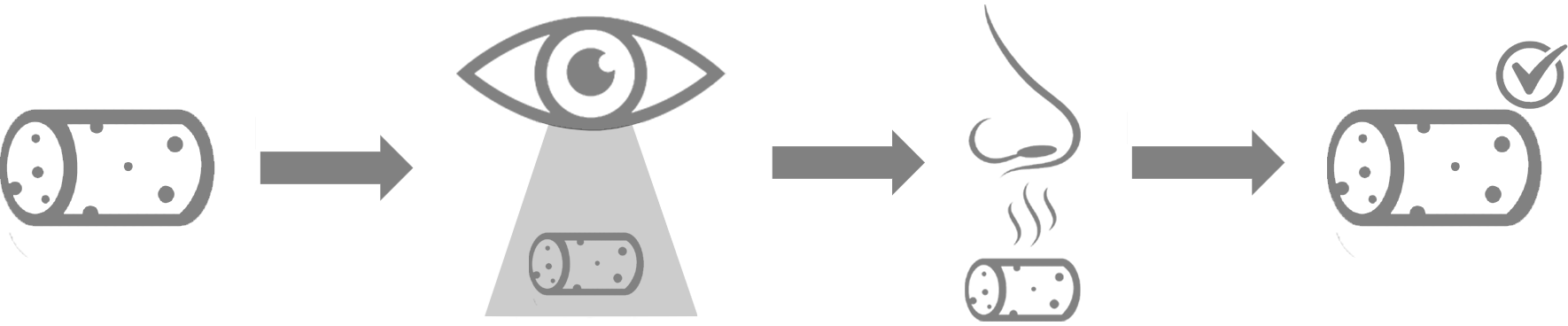 Sensory Analysis Icon