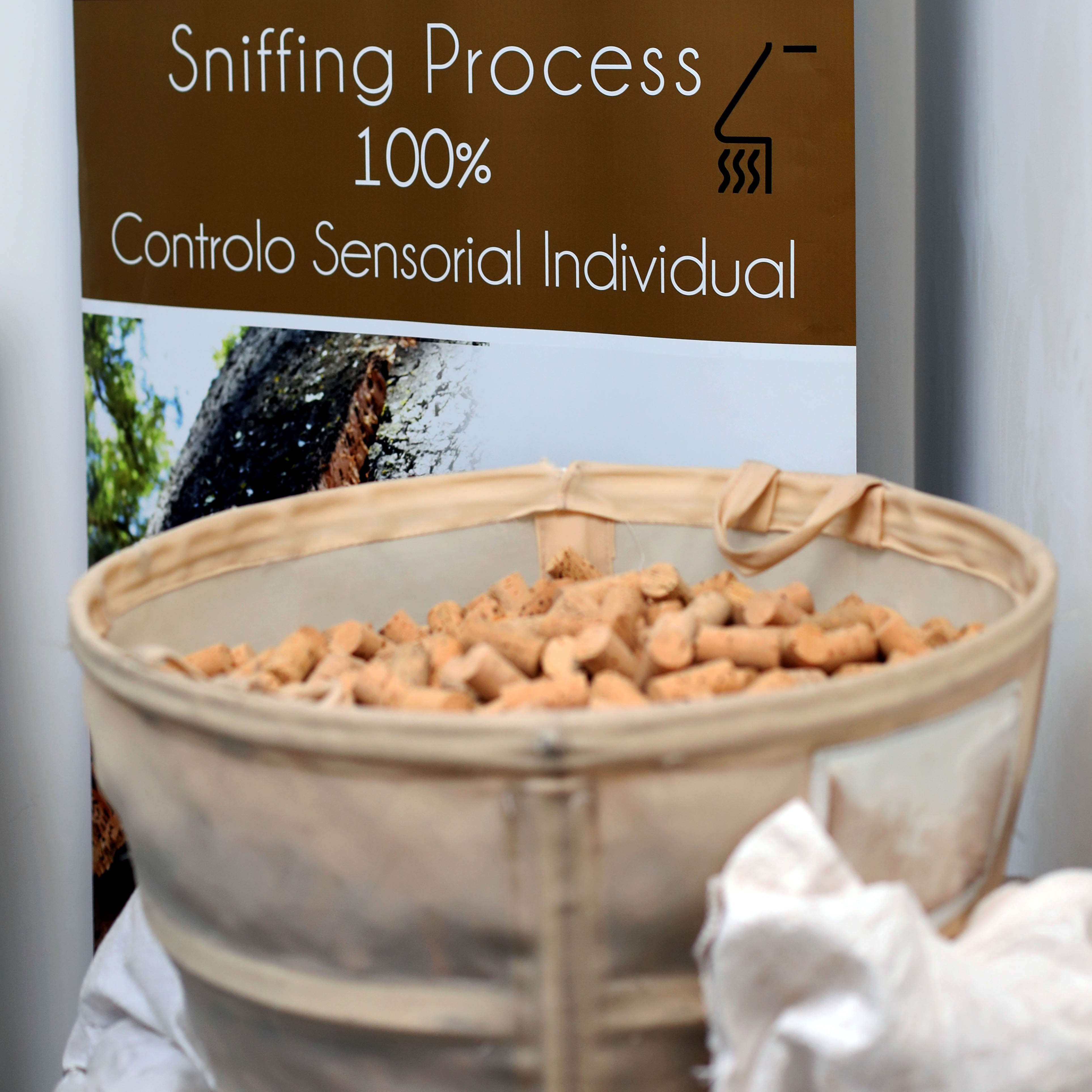 Sniffing Process