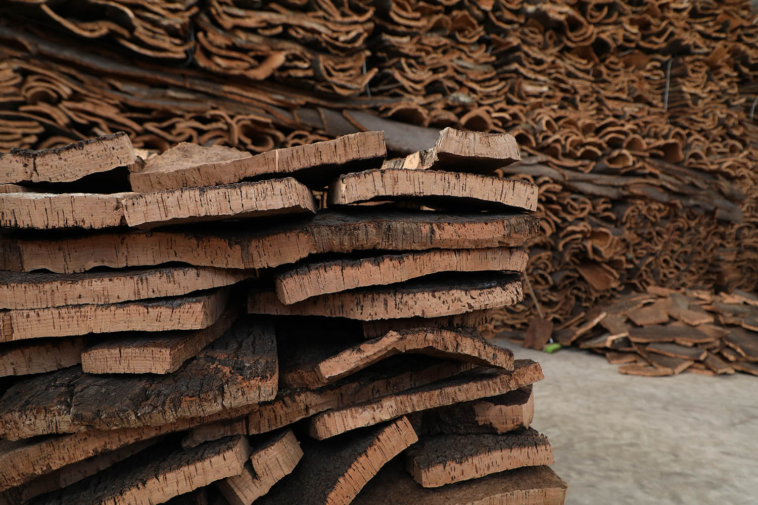 Cork boards